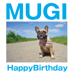 文字入れイメージ