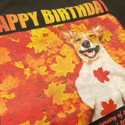 黒Tシャツのプリント例