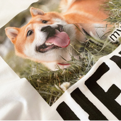 白Tシャツのプリント例