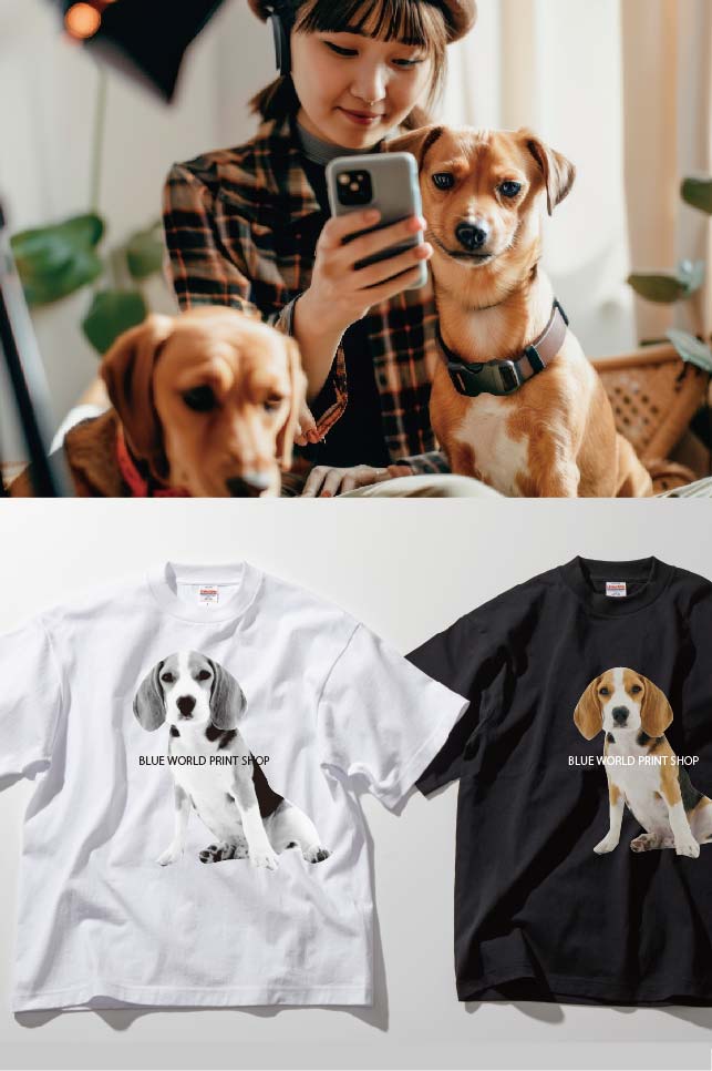 写真プリントイメージ